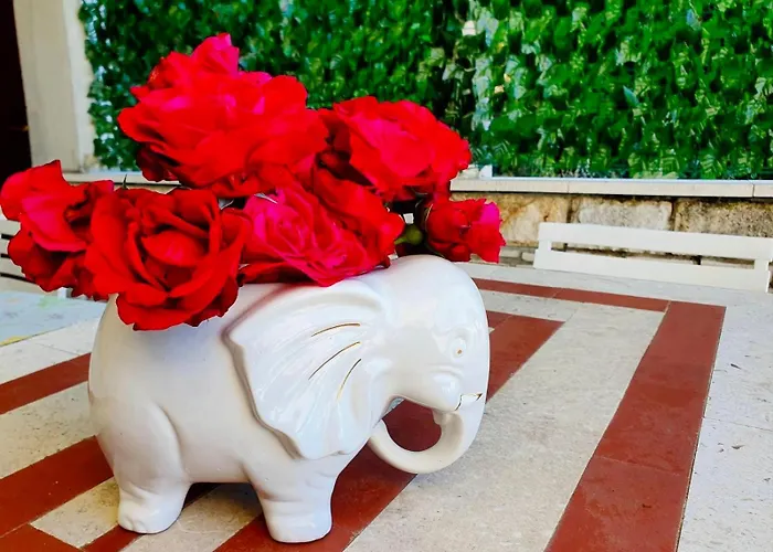 Dalmatian House, Spacious Stone Terraces, Balcony , Views Prázdninový dům *