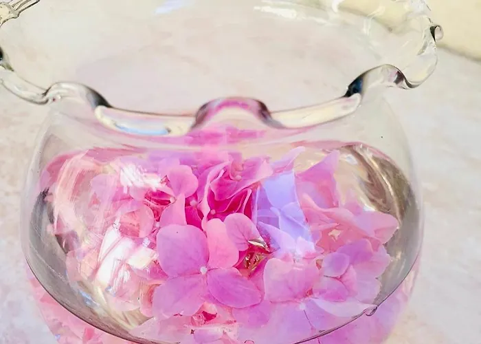 Prázdninový dům Dalmatian House, Spacious Stone Terraces, Balcony , Views *