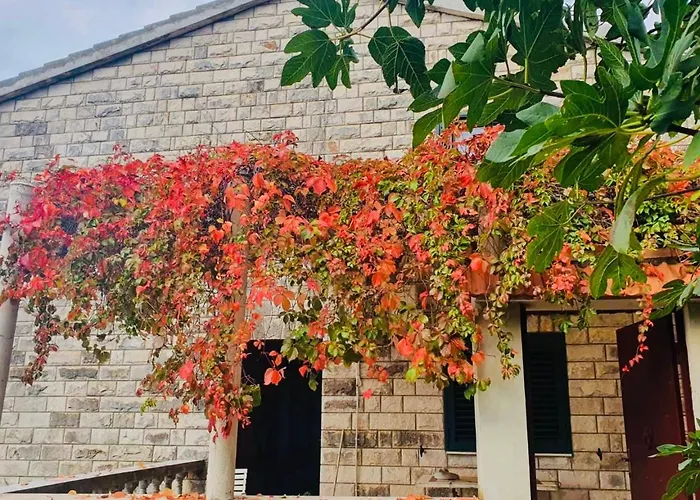 Дом отдыха Dalmatian House, Spacious Stone Terraces, Balcony , Views Дубровник