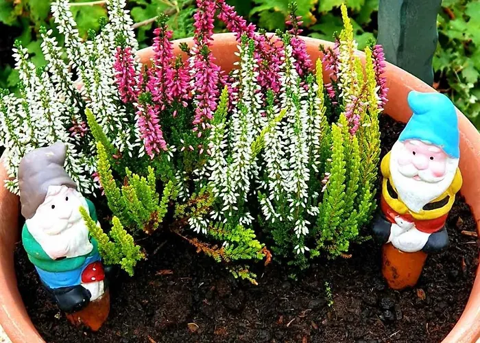 Дом отдыха Dalmatian House, Spacious Stone Terraces, Balcony , Views *