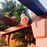 بيت للعطل Dalmatian House, Spacious Stone Terraces, Balcony , Views *