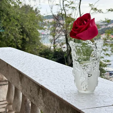 Dalmatian House, Spacious Stone Terraces, Balcony , Views Semesterbostad *