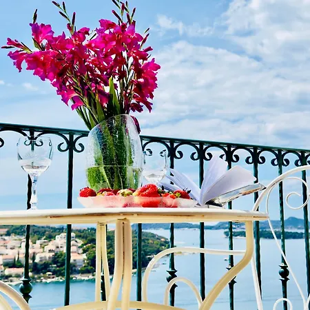 Dalmatian House, Spacious Stone Terraces, Balcony , Views Holiday home *