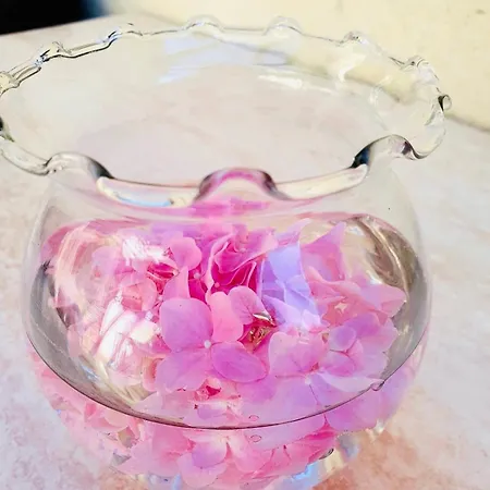 Vakantiehuis Dalmatian House, Spacious Stone Terraces, Balcony , Views *