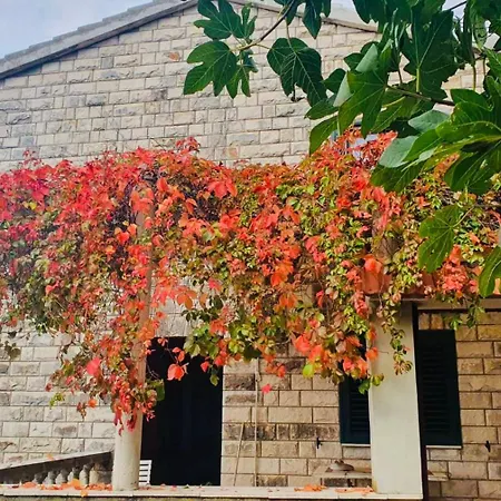 Vakantiehuis Dalmatian House, Spacious Stone Terraces, Balcony , Views Dubrovnik