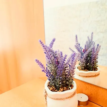 Dalmatian House, Spacious Stone Terraces, Balcony , Views