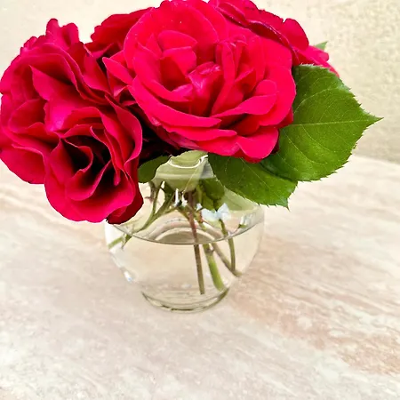 Vakantiehuis Dalmatian House, Spacious Stone Terraces, Balcony , Views *