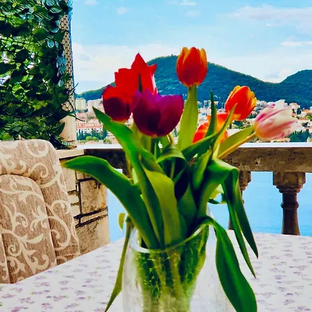 Dalmatian House, Spacious Stone Terraces, Balcony , Views *