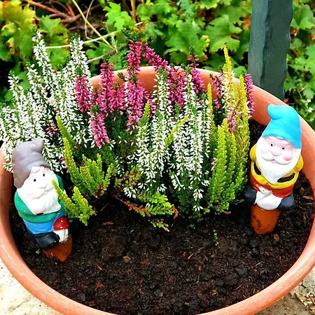 Casa vacanze Dalmatian House, Spacious Stone Terraces, Balcony , Views *