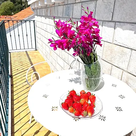 Dalmatian House, Spacious Stone Terraces, Balcony , Views Ferienhaus Dubrovnik