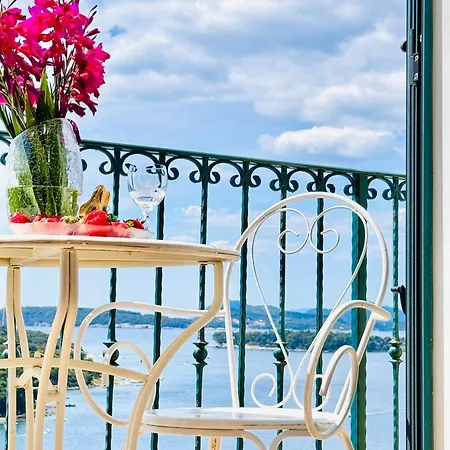Dalmatian House, Spacious Stone Terraces, Balcony , Views 度假居