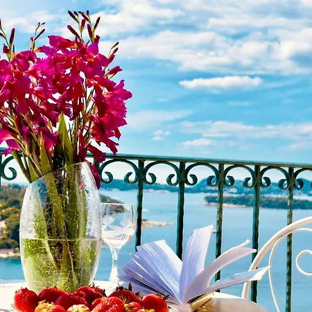 度假居 Dalmatian House, Spacious Stone Terraces, Balcony , Views