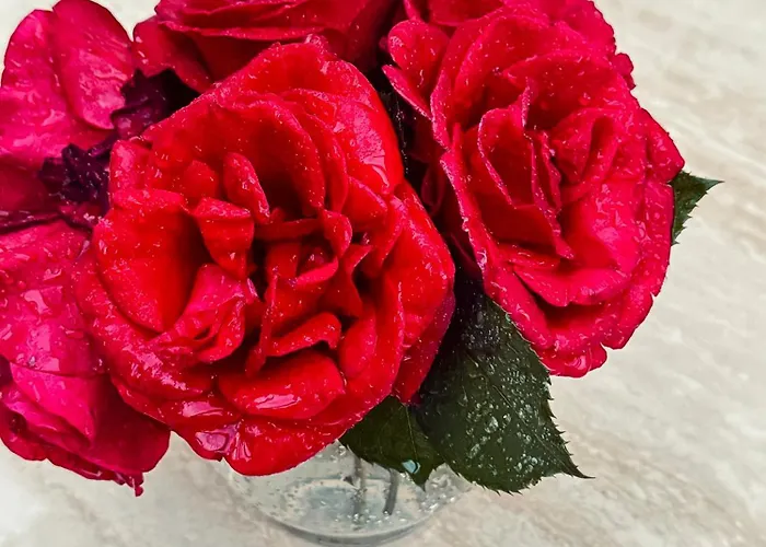 Dalmatian House, Spacious Stone Terraces, Balcony , Views Сasa de vacaciones Dubrovnik