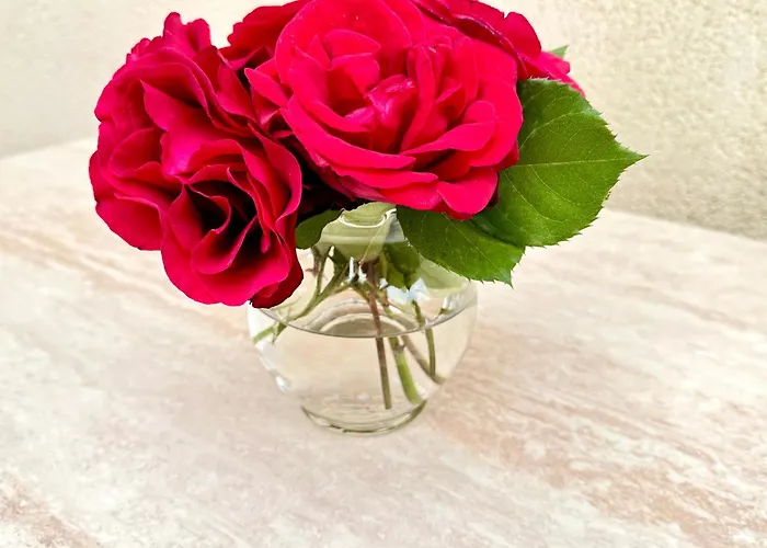 Сasa de vacaciones Dalmatian House, Spacious Stone Terraces, Balcony , Views *