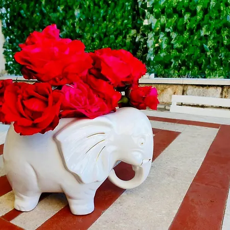 Dalmatian House, Spacious Stone Terraces, Balcony , Views Σπίτι διακοπών *