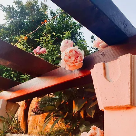 Σπίτι διακοπών Dalmatian House, Spacious Stone Terraces, Balcony , Views *