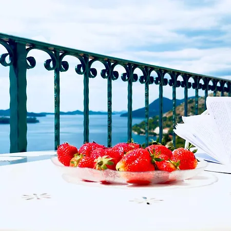 Dalmatian House, Spacious Stone Terraces, Balcony , Views