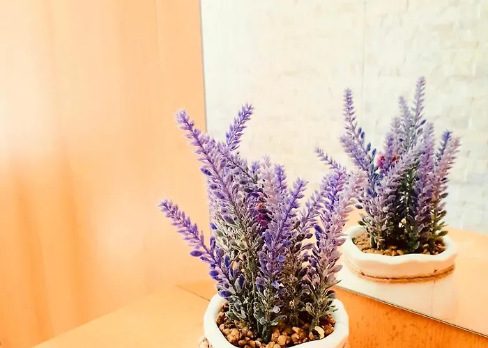 Dalmatian House, Spacious Stone Terraces, Balcony , Views