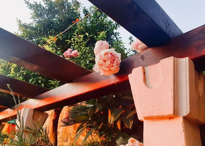 Tatil Evi Dalmatian House, Spacious Stone Terraces, Balcony , Views *