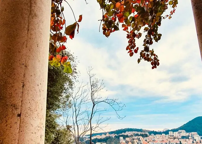 Dalmatian House, Spacious Stone Terraces, Balcony , Views Tatil Evi
