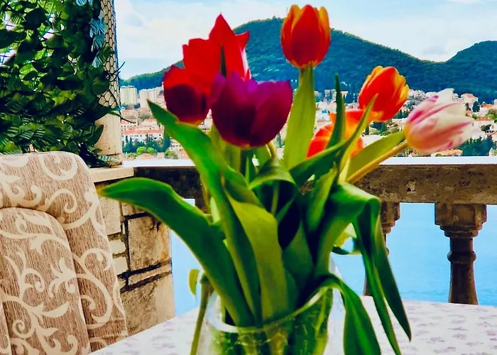 Dalmatian House, Spacious Stone Terraces, Balcony , Views *